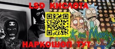 скорость Бердск