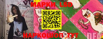 скорость Бердск