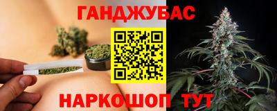 скорость Бердск
