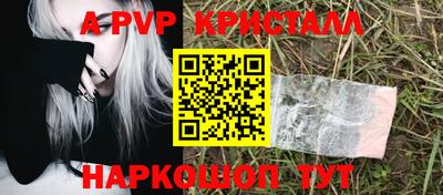 скорость Бердск