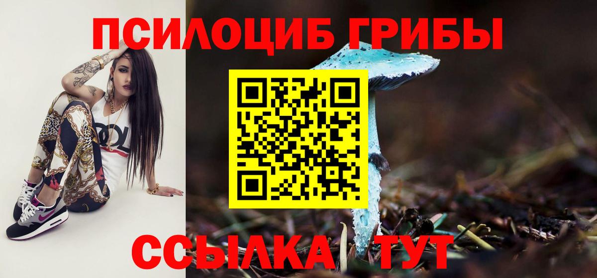 Галлюциногенные грибы MAGIC MUSHROOMS  Псилоцибиновые грибы MAGIC MUSHROOMS  Вход с VPN  Тулун 